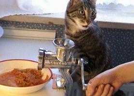  5 стадий домогательства