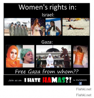 Обстоятельства и химеры