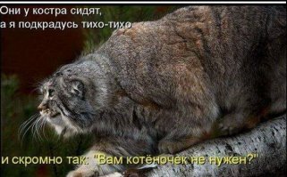 Линда и Дуся — неразлучные друзья