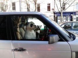 Улыбаемся, нас снимают!