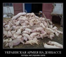 Польские демотиваторы: Украина, Россия, Польша
