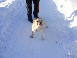 моя очень радуется снегу