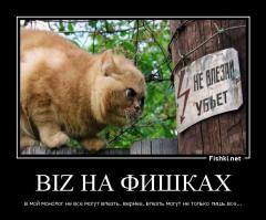 Досталось невиновному