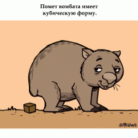 можно не только кирпичами, но и вообще забыть за чем пришел.