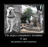  15 грустных фото