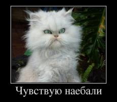 Разбили Chevrolet Camaro