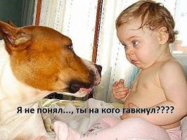 Ох, уж эти детки