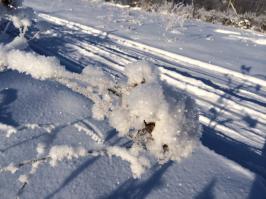 Больше, чем просто фотография