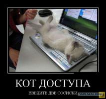 Фишкина солянка за 29.07.2014