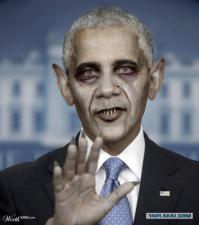 На злобу дня