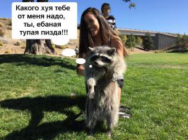 Фотоподборка за 09.10.2014