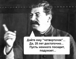 Новосибирский енот-полоскун