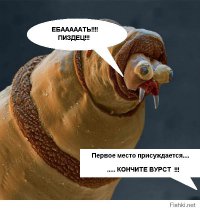 Жириновский про кончиту