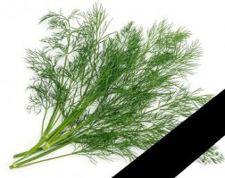 Прогулка по новому терминалу Донецкого аэропорта