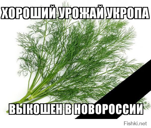 «Паника в Киеве: силовики сдают Донбасс» — удаленная статья с Цензоp