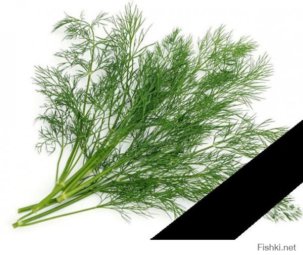 Такого укропа?