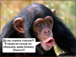 Небанальное фото