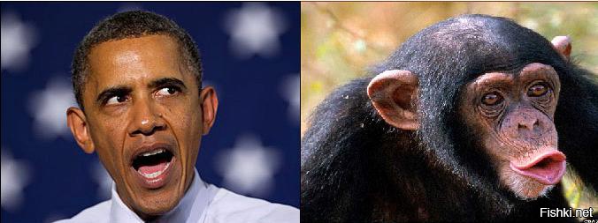 Клинический диагноз Обамы