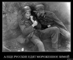 Гитлер завоевал Европу быстрее, чем пару кварталов в Сталинграде