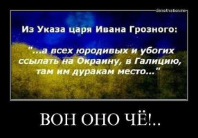 Быдло на дороге