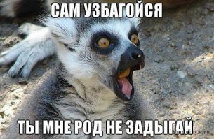 Быдло на дороге