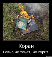 Наука в массы (Пульсары)