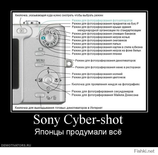 Интересная памятка начинающим фотографам 