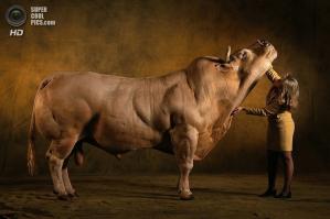 Ассоциации...