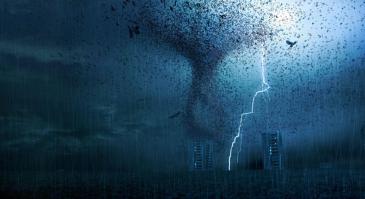 Фантастическое облако птиц