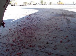 А вот,что будет с человеком,попавшим в турбину.