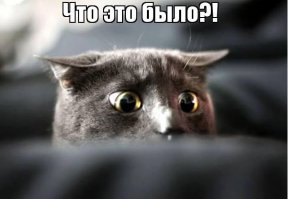 Очередное нелепое интервью