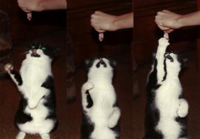 снова из семейного архива