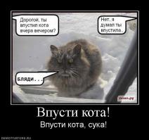 Животные под дождем  