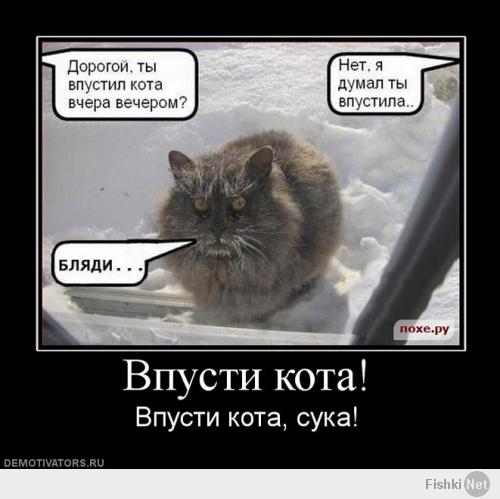 Животные под дождем  