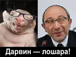 кернес говорите ?