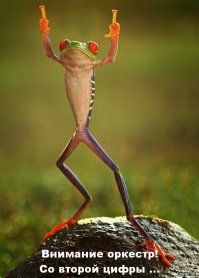 По следам весны. Фотографии, способные передать даже запах