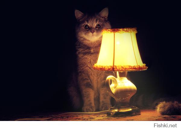 "больше половины - в темноте". ему не хватало этой лампы... и кота ))