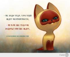 Обязанности кота по дому 