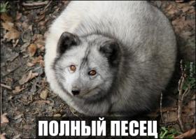 Но это был еще не главный прикол!