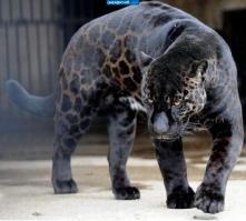 Было, стало.