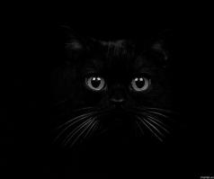 Мастера маскировки