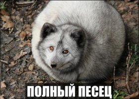 Я такого не видал!