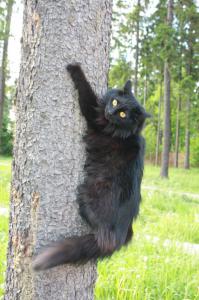 Моя на даче: