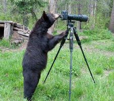 Засняли свою гибель