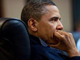 Животные ставшие знаменитыми из- за редкого окраса