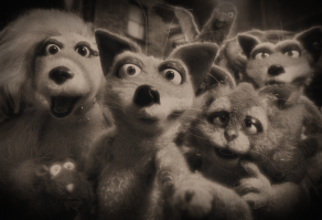 Хищники и жертвы в объективе фотографа