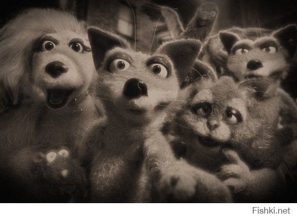 Хищники и жертвы в объективе фотографа