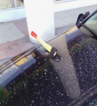 Котенок, выходи!