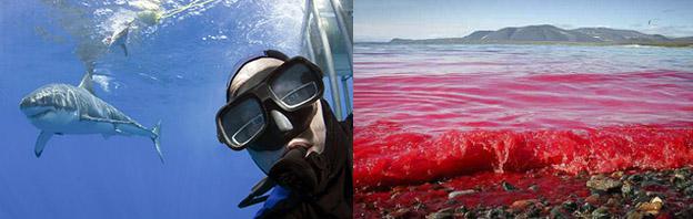 Фотоподборка за 06.11.2014