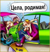 В любой непонятной ситуации жми тормоз в пол